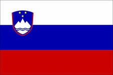 словения флаг